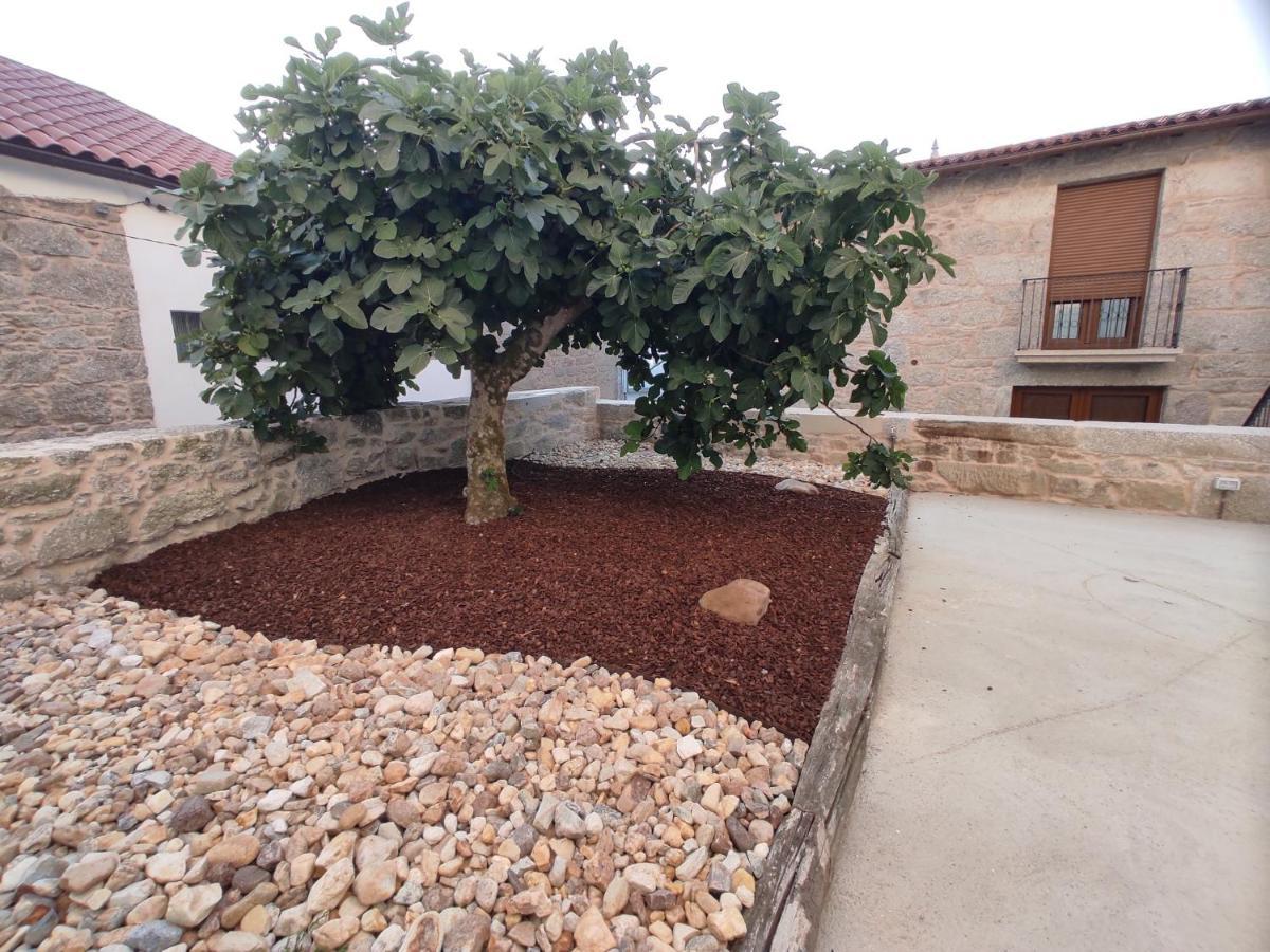 Вилла Casa Lagarto, Taboada Экстерьер фото